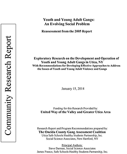 Youth and Young Adult Gangs - 2014 report